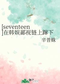 [seventeen]在韩娱鄙视链上蹿下跳