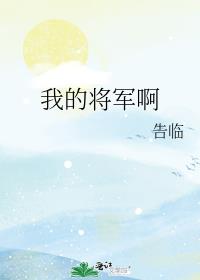 我的将军啊