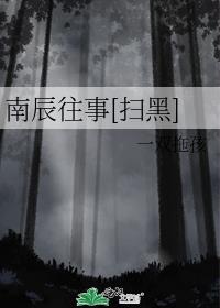 南辰往事[扫黑]