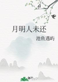 月明人未还