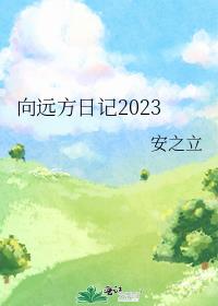 向远方日记2023