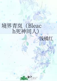 境界青岚（Bleach死神同人）