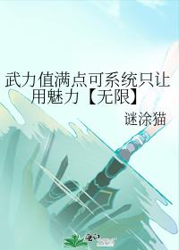 武力值满点可系统只让用魅力【无限】