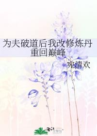 为夫破道后我改修炼丹重回巅峰