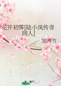 花开初霁[陆小凤传奇同人]