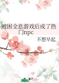 被困全息游戏后成了热门npc