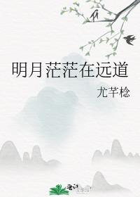 明月茫茫在远道