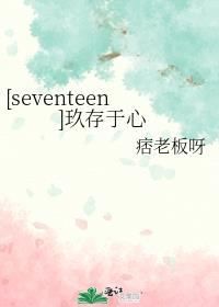 [seventeen]玖存于心