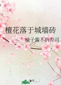 檀花落于城墙砖