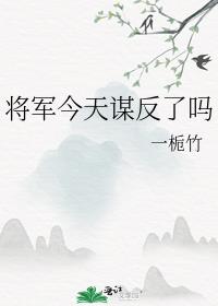 将军今天谋反了吗