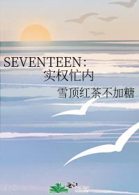 SEVENTEEN：实权忙内