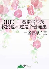 【HP】一名霍格沃茨教授也不过是个普通巫师而已