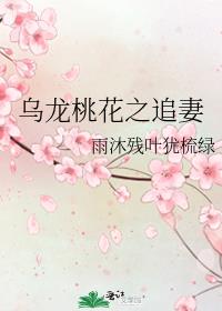 乌龙桃花之追妻