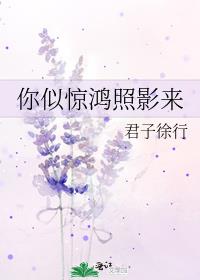 你似惊鸿照影来