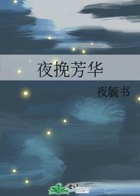 夜挽芳华