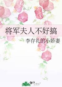 将军夫人不好搞