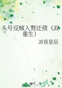 头号反贼入赘还债（双重生）