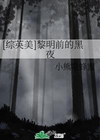 [综英美]黎明前的黑夜