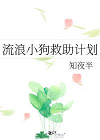 流浪小狗救助计划