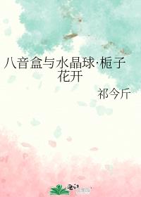 八音盒与水晶球·栀子花开