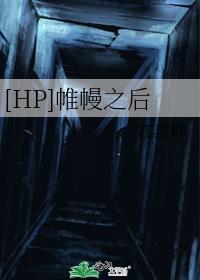 [HP]帷幔之后