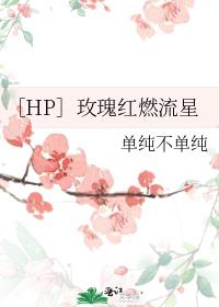 ［HP］玫瑰红燃流星