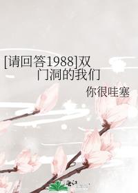 [请回答1988]双门洞的我们