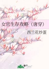 女官生存攻略（唐穿）