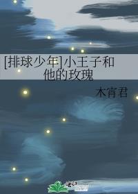 [排球少年]小王子和他的玫瑰