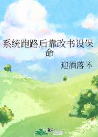 系统跑路后靠改书设保命