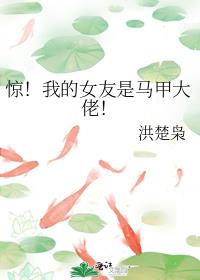 惊！我的女友是马甲大佬！