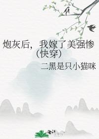 炮灰后，我嫁了美强惨（快穿）