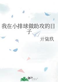 我在小排球做助攻的日子