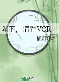 陛下，请看VCR