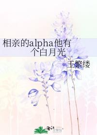 相亲的alpha他有个白月光