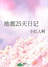 地震25天日记