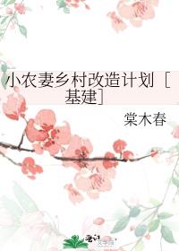 小农妻乡村改造计划［基建］