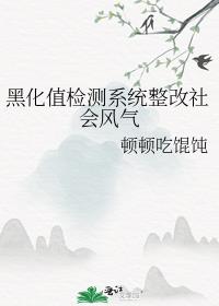 黑化值检测系统整改社会风气