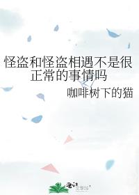 怪盗和怪盗相遇不是很正常的事情吗