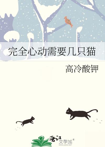 完全心动需要几只猫