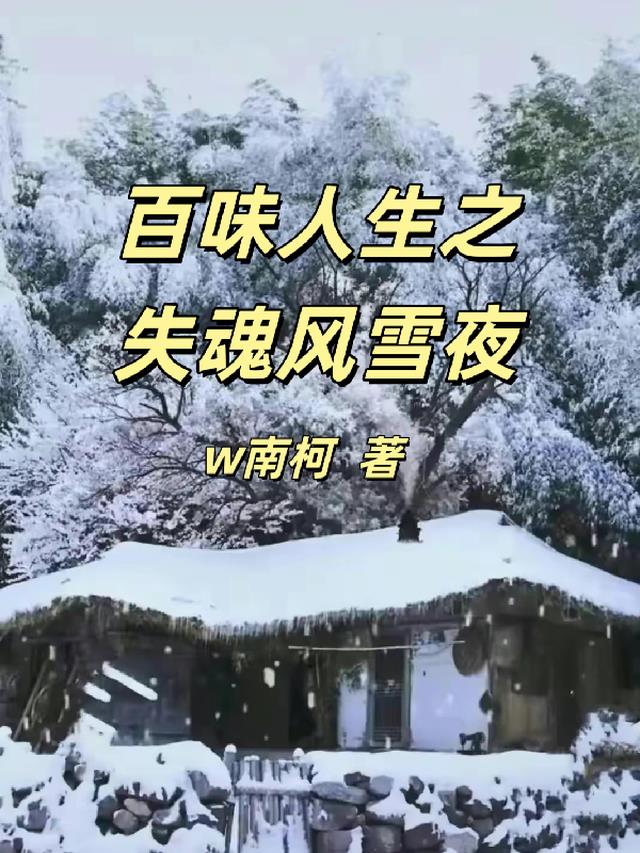 百味人生第一部：失魂风雪夜