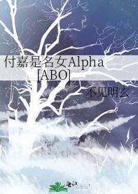 付嘉是名女Alpha[ABO]