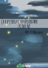 [HP]银河中的那颗天狼星