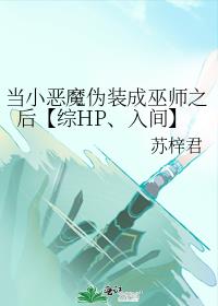 当小恶魔伪装成巫师之后【综HP、入间】